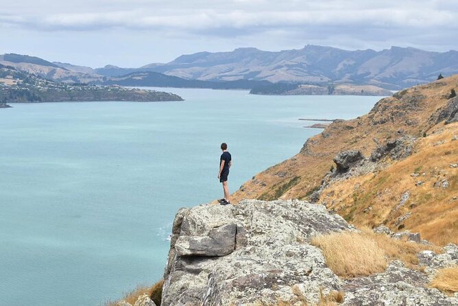 Private Walking Tour From Christchurch - Lyttelton & Godley Head - Itinerary Details