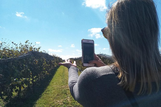 Private Wine Tour - Calamuchita - Whats Included in the Experience