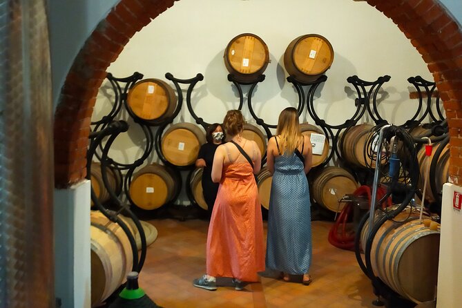 Private Wine Tour With Sommelier - Colline Lucchesi and Montecarlo - Inclusions and Amenities