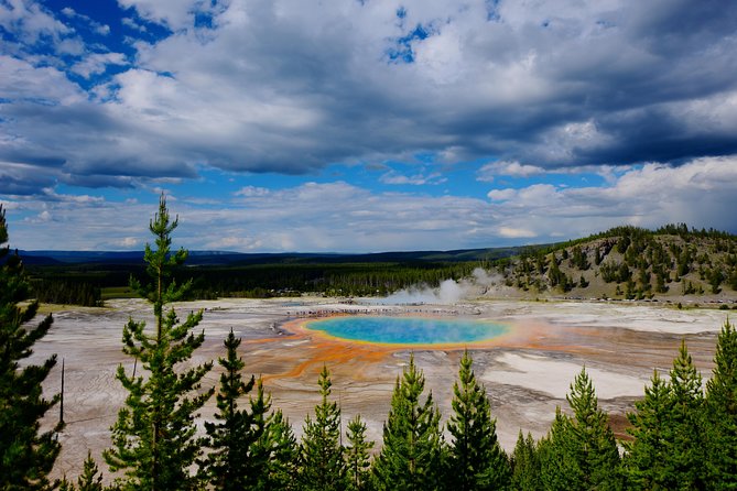 Private Yellowstone Tour: ICONIC Sites, Wildlife, Family Friendly Hikes + Lunch - Wildlife Viewing Opportunities