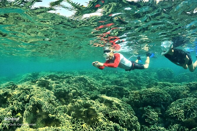 PROFESSIONAL SNORKELING to Explore Hidden Coral Spots (MAX 9 PAX) - Inclusions and Exclusions