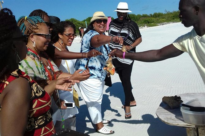 Providenciales Group Island Tour - Top Attractions to Visit