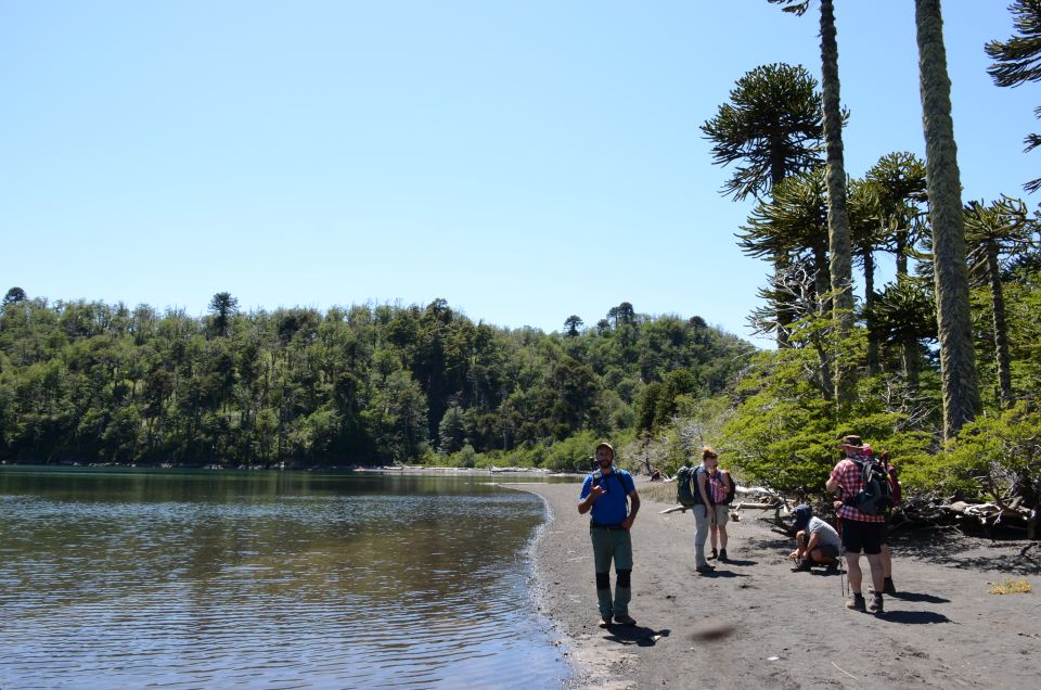 Pucon: Full-Day Villarrica National Park Hike - Detailed Itinerary