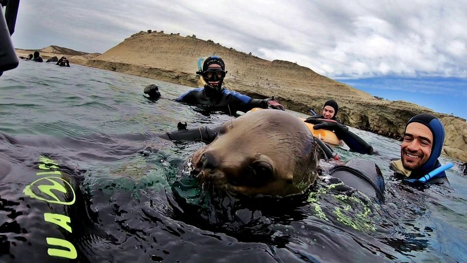 Puerto Madryn: 3-Hour Snorkeling Trip With Sea Lions - Booking Process