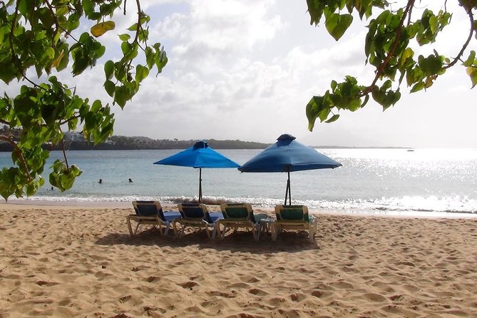 Puerto Plata Shore Excursion, Snorkeling Tour & Sosua Beach Day - Snorkeling Experience