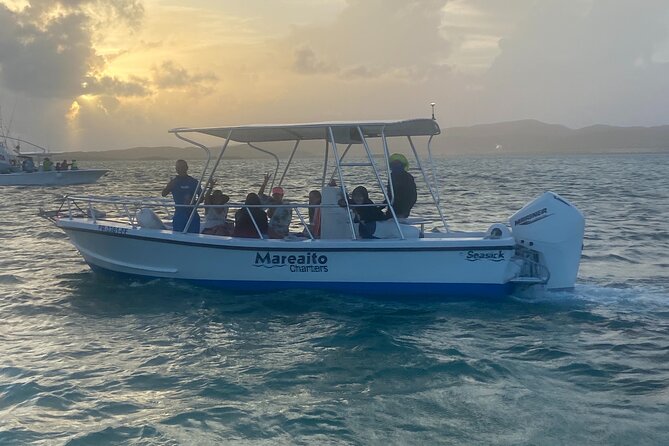 Puerto Rico: Bio Bay Swim and Sunset Charter & Late Night Tour - Whats Included in the Tour