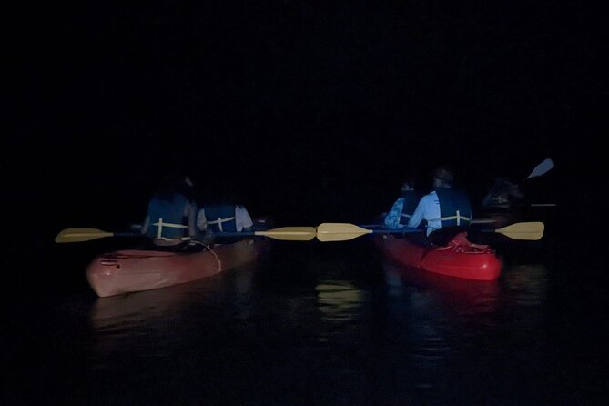 Puerto Rico: Kayaking in Magical Bioluminescent Bay - Customer Reviews Highlights