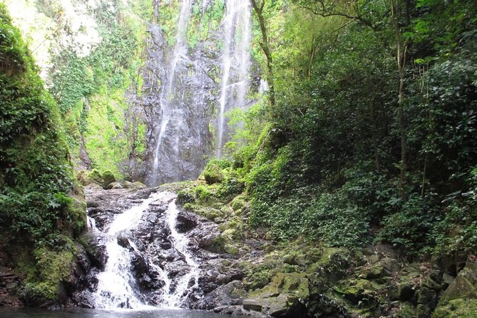 Puerto Rico Waterfall Hiking Tour: Discover Hidden Gems - Important Information