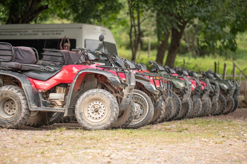 Puerto Vallarta: Horse Riding Tour W/ Optional ATV & Zipline - Tour Highlights