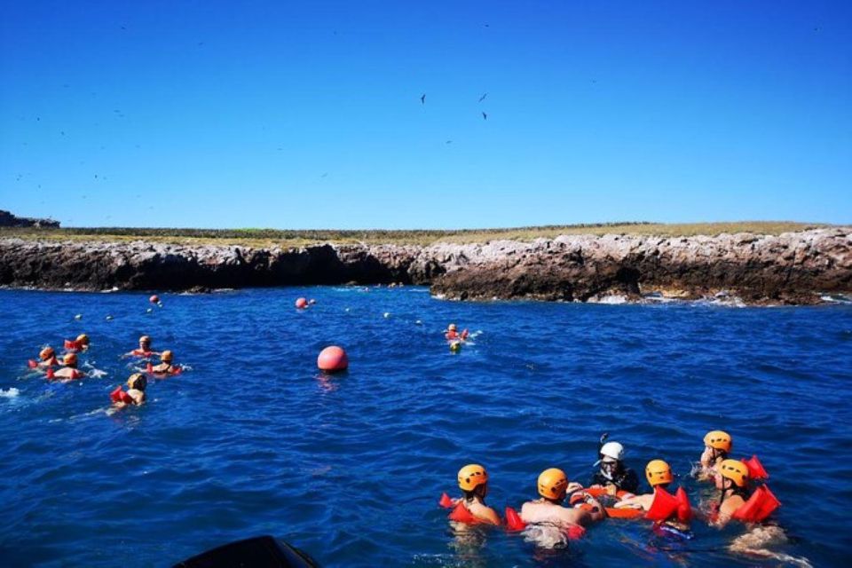 Puerto Vallarta: Marietas Islands Snorkel Tour - Highlights of the Excursion