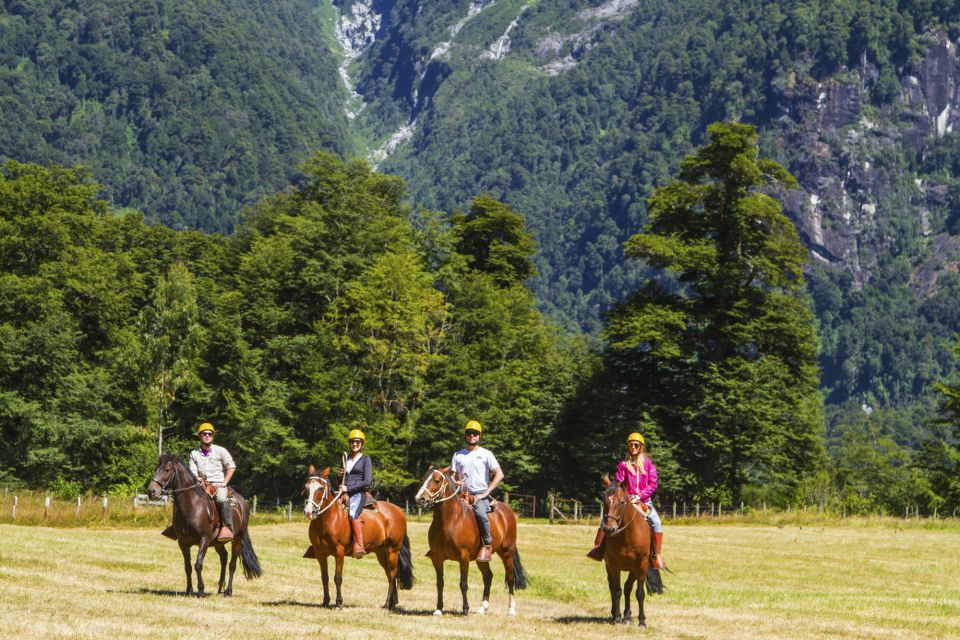 Puerto Varas: Peulla Day Trip - Itinerary Highlights