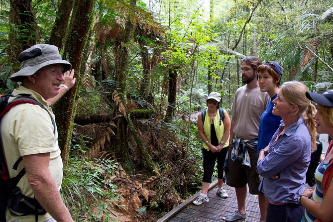 Puketi Rainforest Guided Walks .This Is Not a Shore Excursion Product . - Guided Walk Options