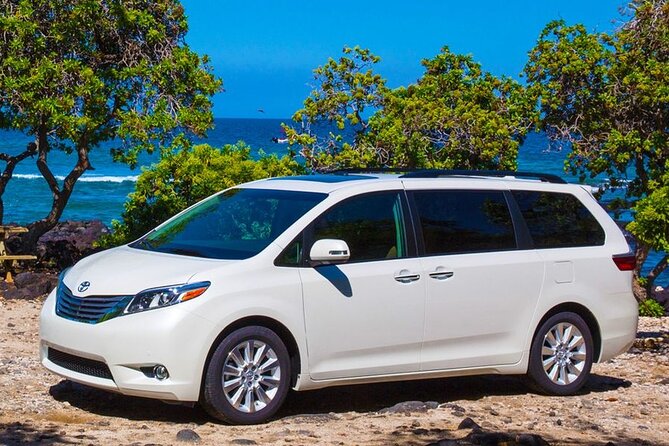 Punta Cana Airport to or From Royalton Splash Private Transfer - Accessibility Features