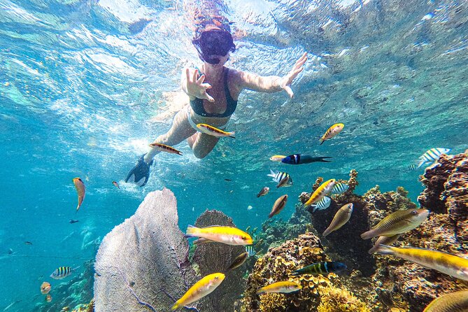 Punta Cana Private Cruise up to 10 Snorkeling & Seafood Lunch - Snorkeling Experience