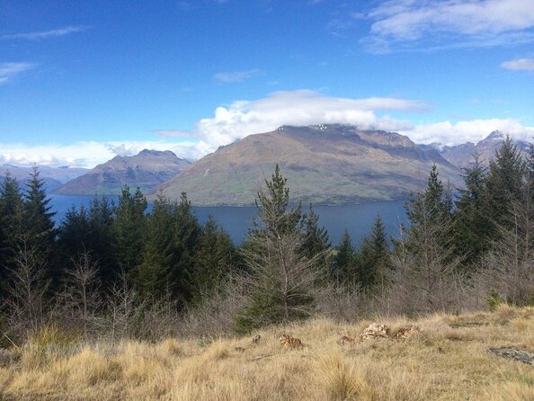 Queenstown ATV Tour - Safety Measures and Training