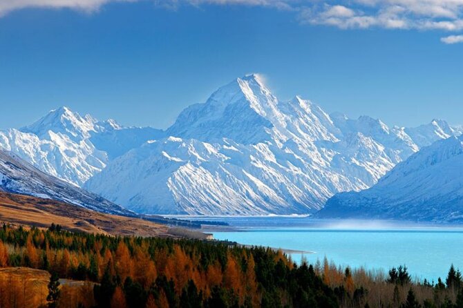 Queenstown to Mt. Cook One Way Tour - Inclusions and Amenities