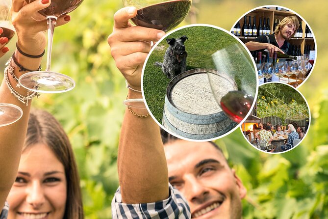Queenstown Wine Tour With Wine Dog | Adults Only - What to Expect