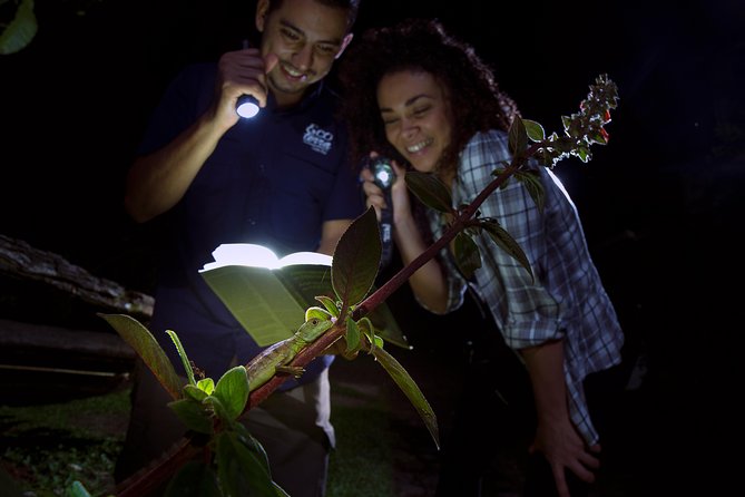 Rainforest Night Walk and Authentic Costa Rican Dinner From La Fortuna - Itinerary and Inclusions