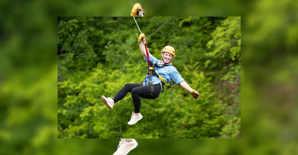 Rainforest Ziplining Adventure - Activity Details