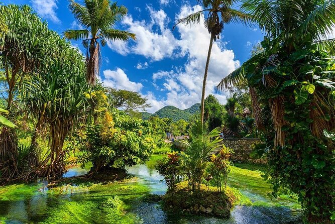 Rastafari Cultural ATV Community Experience From Montego Bay - Swimming in Mineral Pool