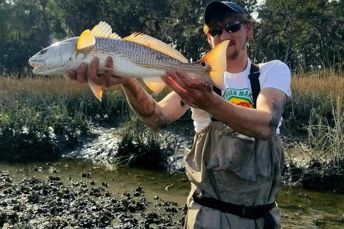 Ravenel Fishing Charters - Target Fish Species