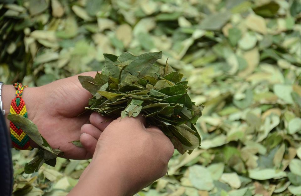 Reading Your Future in Coca Leaf - Ceremony Experience Details