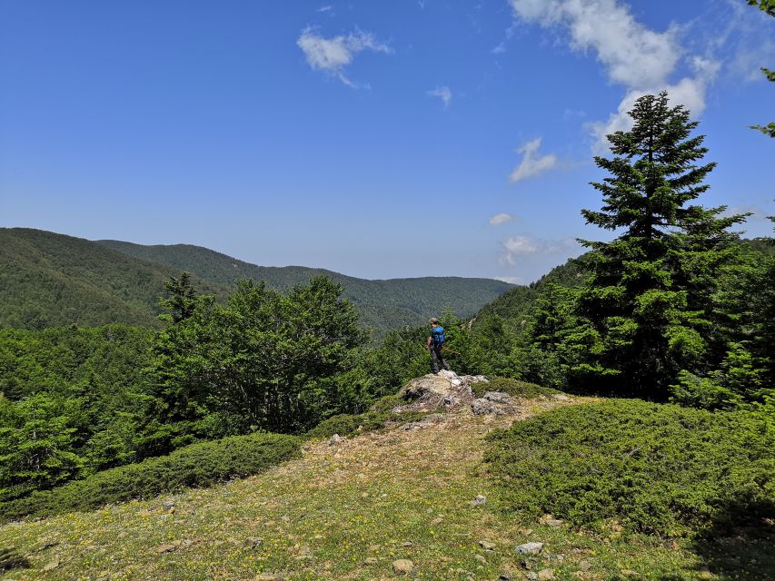 Reggio Calabria: Aspromonte Trails Trek to Montalto Summit - Trekking to Montalto Summit