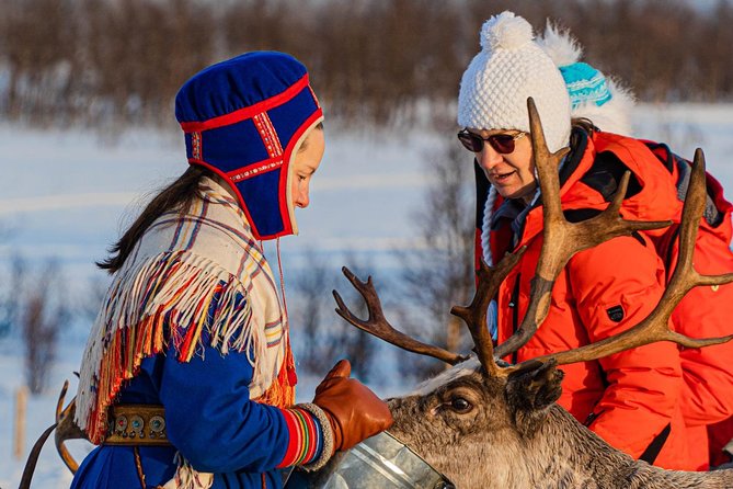 Reindeer Feeding & Saami Culture - Logistics and Inclusions