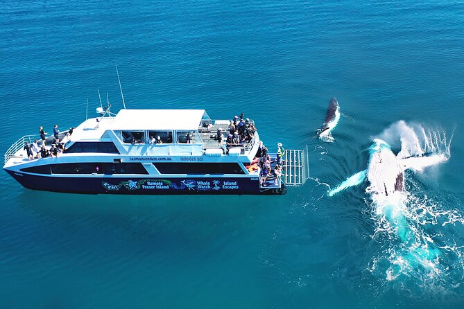Remote Kgari (Fraser Island) & Whale Experience - Meeting and Pickup Details