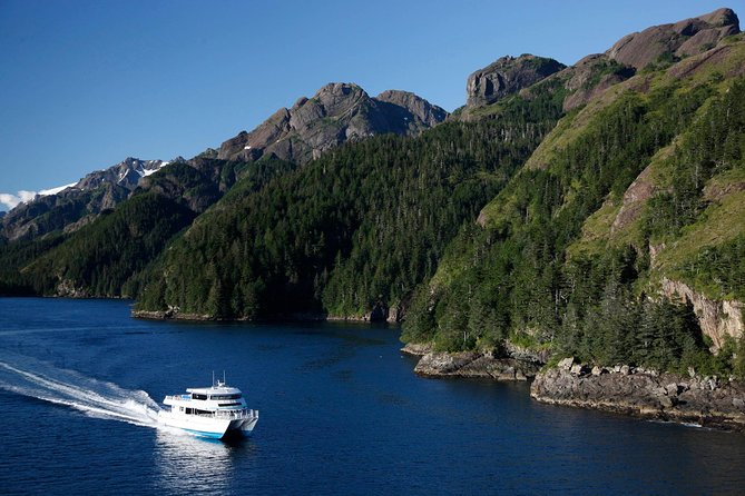 Resurrection Bay Cruise With Fox Island - Itinerary Highlights