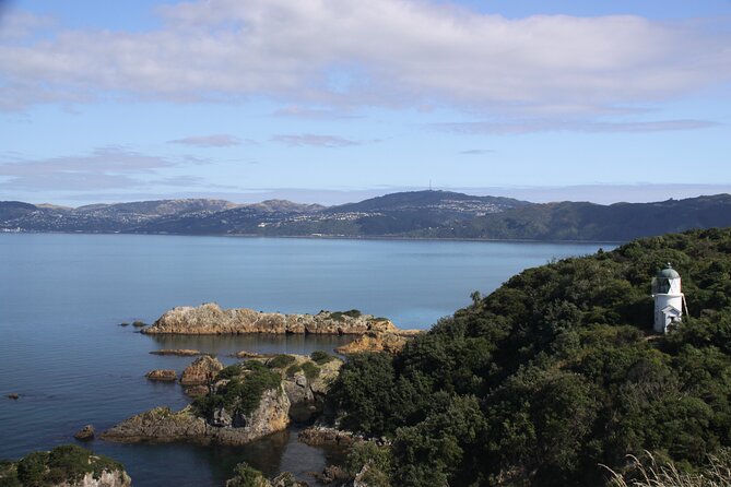 Return Ferry Trip to MāTiu/Somes Island - Onboard Facilities