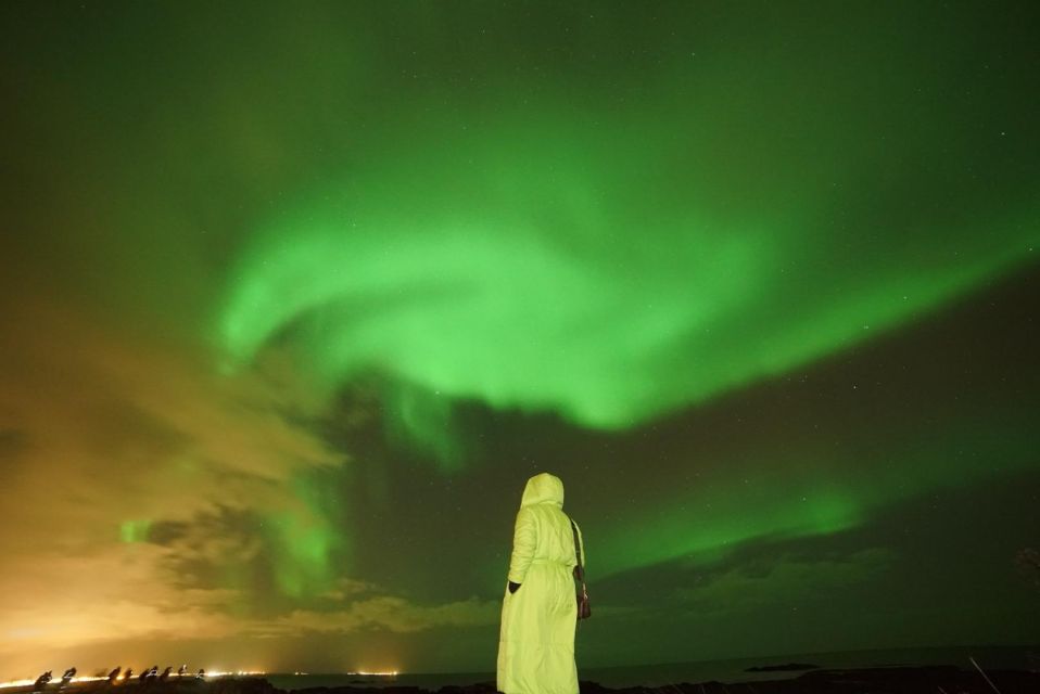 Reykjavik: Northern Lights Minibus Tour With Hot Chocolate - Experience and Highlights