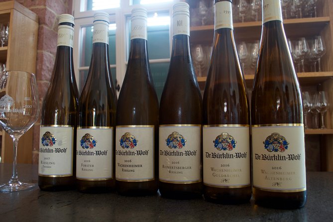 Rhine Valley Wine Tasting Tour From Frankfurt and Mainz - Discover Rheinhessens Wine Varietals