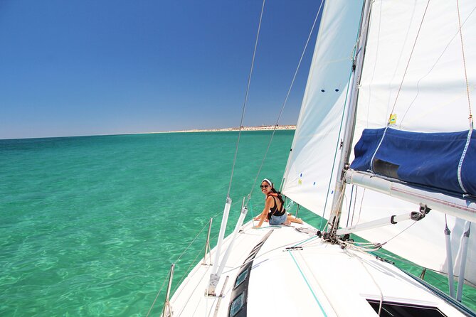 Ria Formosa Half Day Sailing Tour - Wildlife Spotting Opportunities