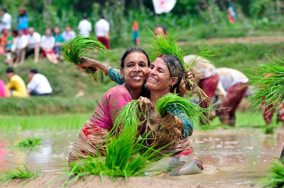 Rice Planting in Nepal - Traditional Festivals and Celebrations