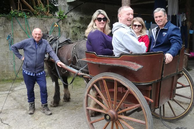 Ring of Kerry Tour Private Chauffeur Driven From Killarney Luxury - Unique Experience Highlights