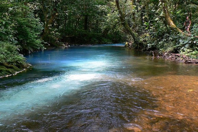 Rio Celeste Hike & Tenorio Volcano Hike - Itinerary Highlights