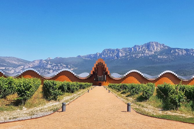 Rioja Wine Route With Winery Owner - Tour Accessibility Options