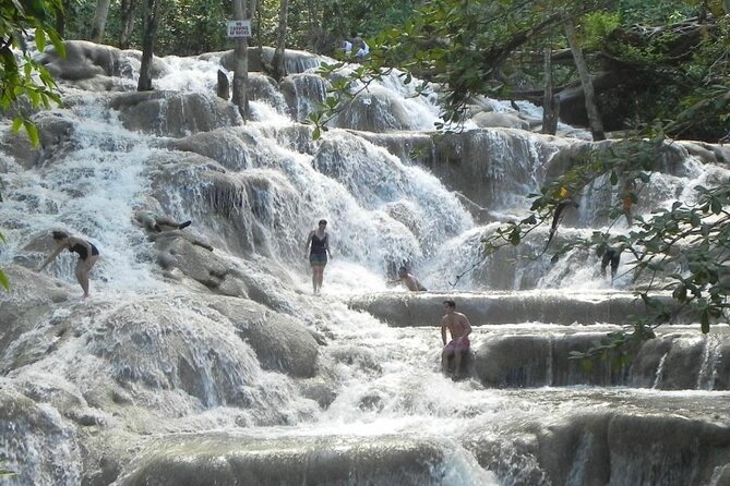 River Climbing and Horseback Riding - Horseback Riding Experience