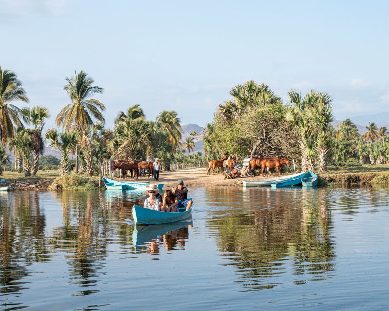 River, Ocean & Sunset Horse Riding Tour - Highlights of the Tour