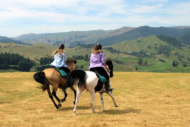 River Valley Stables - Burn The Breeze, Half Day Horse Ride For Riders - Group Size and Personal Attention