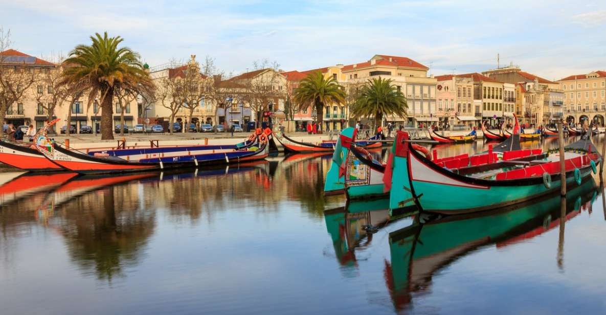 Riverside Reverie: Coimbra and Aveiros Hidden Charms - Riverside Moliceiro Boats