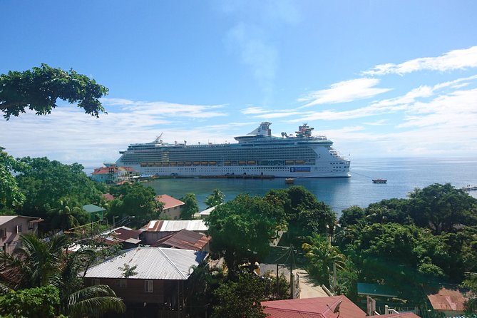 Roatan Island Tour & Daniel Johnsons Monkey and Sloth Hangout Tour - Tour Inclusions