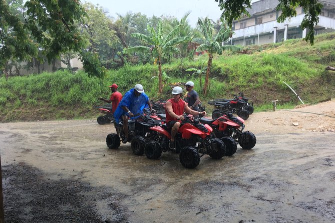 Roatan Sustainable Safari Tour: Wildlife/ATV BUGGY/Private Beach - Wildlife Encounters