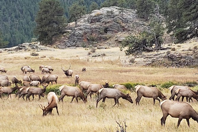 Rocky Mountain National Park and Estes Park Tour From Denver Winter and Spring - Itinerary Highlights