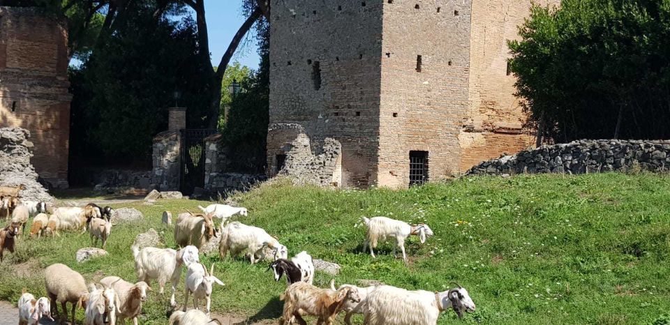 Rome: Appian Way Ebike Tour Aqueducts, Catacombs & Lunch Box - Highlights of the Experience