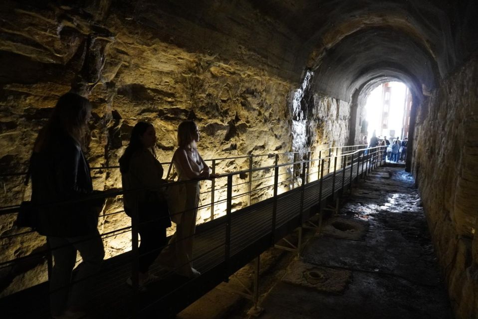 Rome: Colosseum Underground or Arena, Forum, & Palatine Tour - Colosseum Access