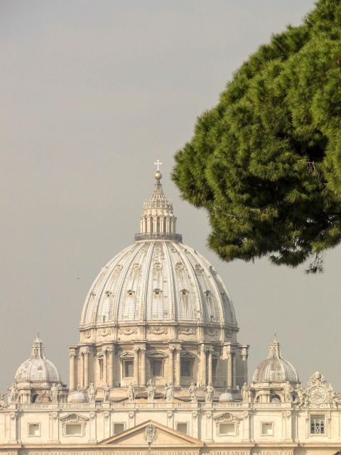 Rome: St. Peters Basilica, Papal Tombs Tour Also With Dome - Experience Highlights