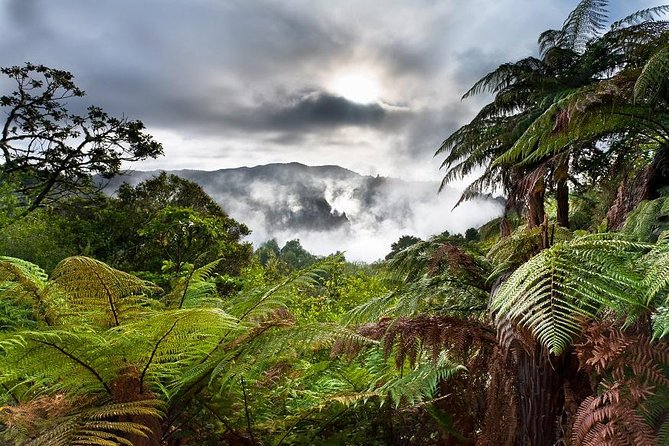 Rotorua Based Small Group Morning Tour Waimangu and Wai O Tapu - Detailed Itinerary