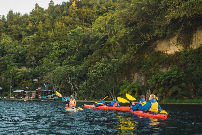 Rotorua: Evening Starlight Kayak Tour With Glowworms - What to Expect on the Tour